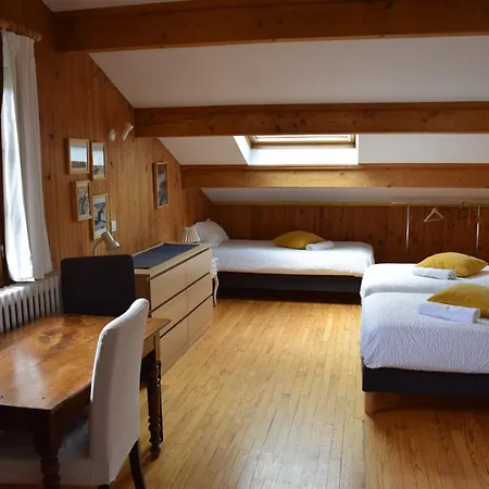 L Olan 15p Emplacement Exceptionnel Grand Terrain Chalet Les Deux Alpes